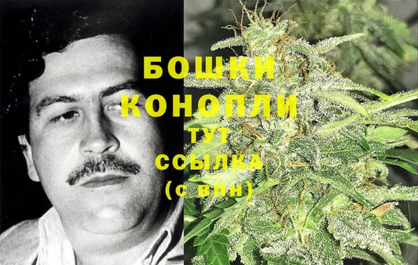 винт Абаза