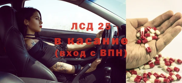 винт Абаза