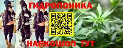 бошки Донецк
